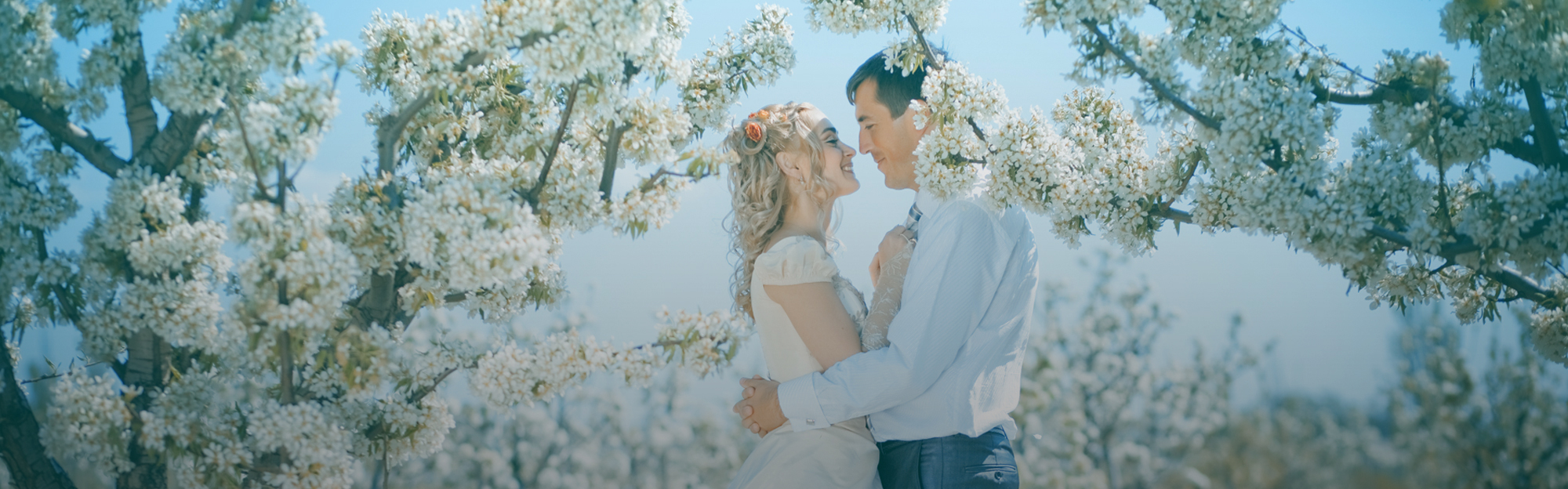 Wedding couple just married